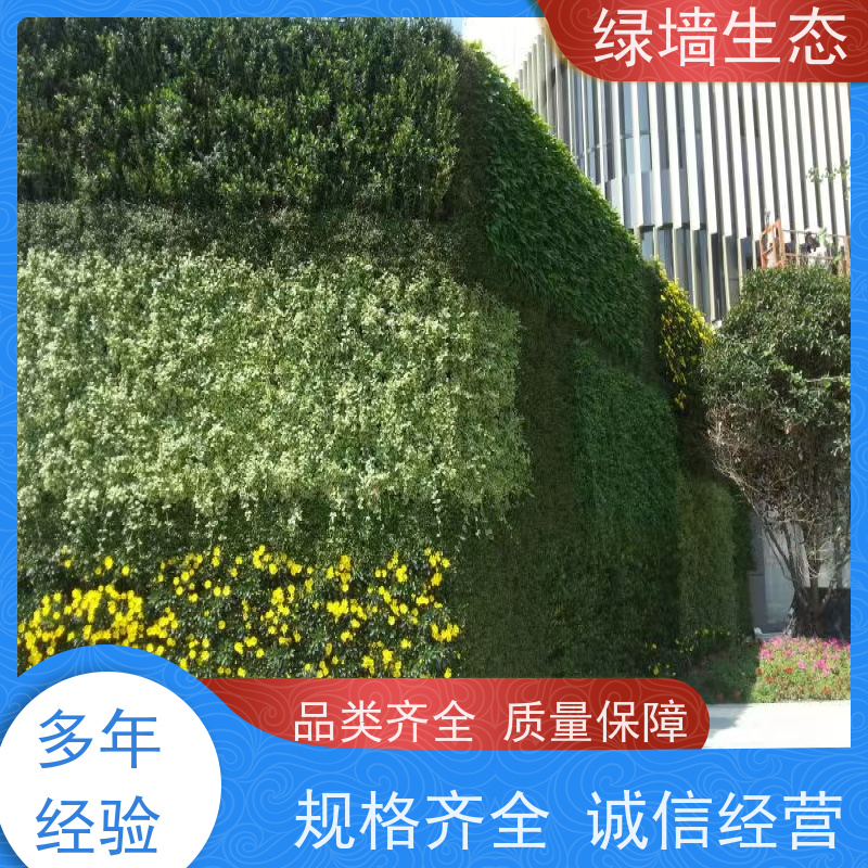 绿墙生态 疏叶款式中式园林留白风墙面装饰墙板 商场绿植墙