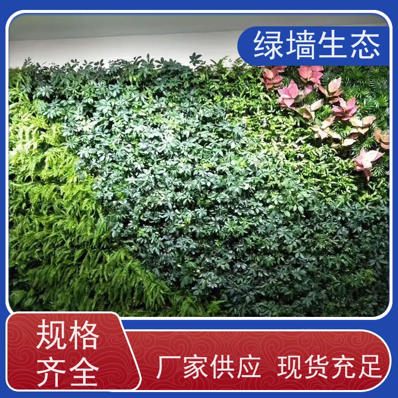 绿墙生态 绿化植物墙 写字楼通道走廊两侧拼装模块