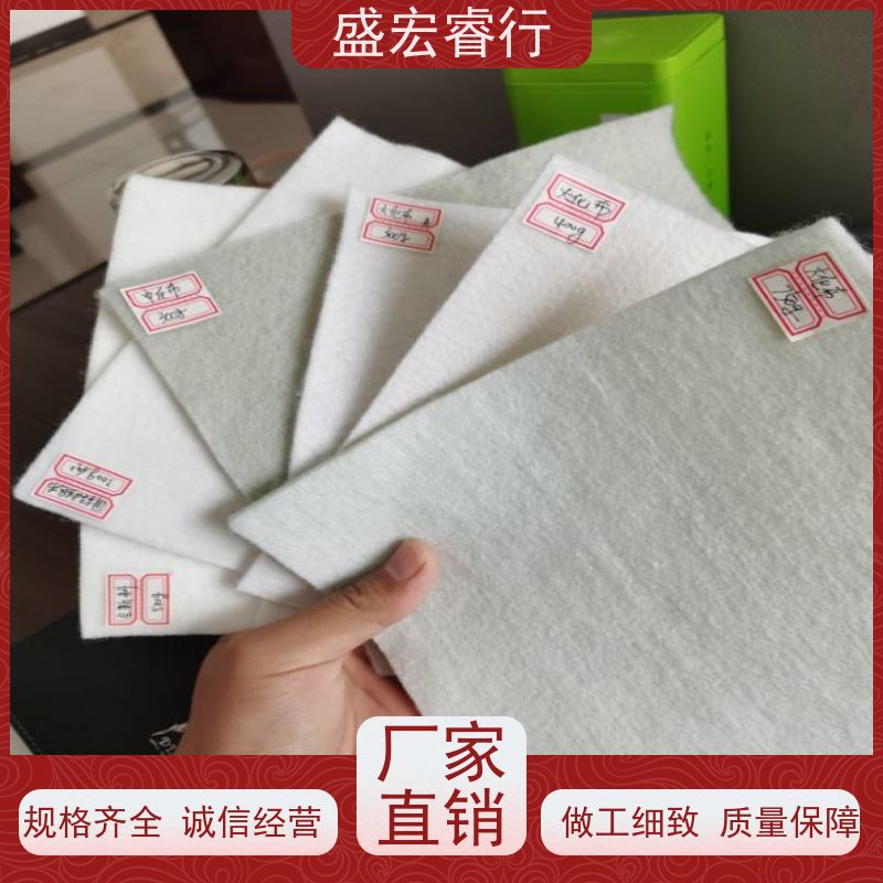盛宏睿行 SNG土工布  耐高温长丝 工程施工专用材料
