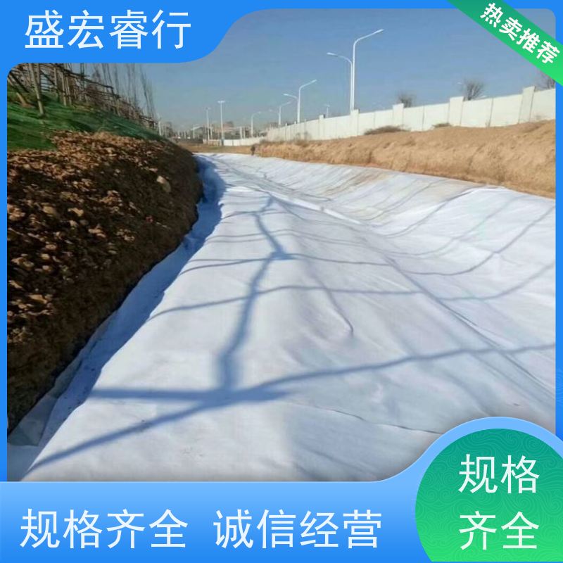 盛宏睿行 PET土工布  针刺无纺 短丝 人工湖鱼塘护坡过滤布