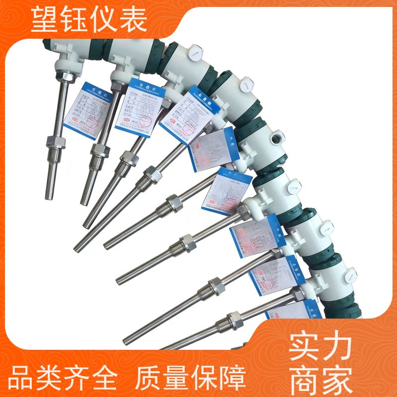 望钰 高精度 管道温度传感器 化工反应釜 快捷发货