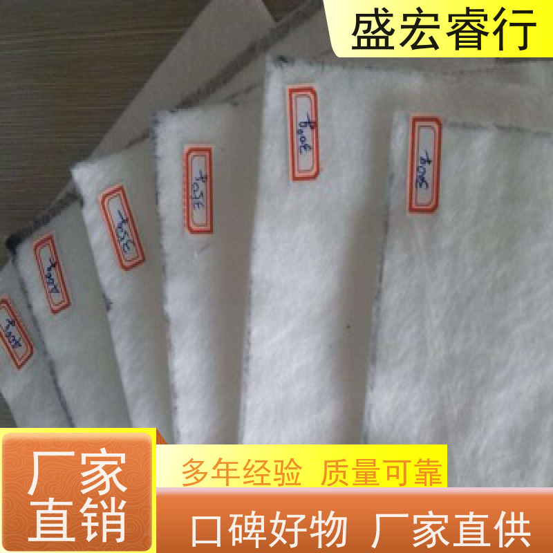 盛宏睿行 土工布  环保 道路养护桥梁保湿无纺布