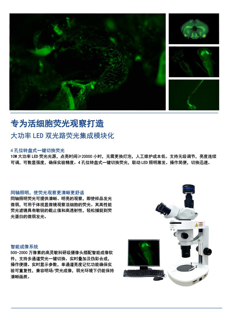 湖南 MHZF700 连续变倍 体视显微镜荧光