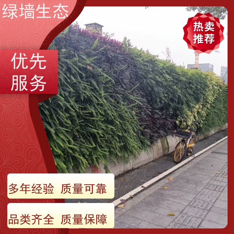 绿墙生态 模块绿化 会所包间私密空间隔断立.体装饰墙面