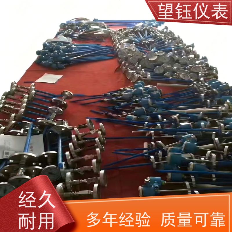 望钰 抗干扰 WRN温度传感器 化工反应釜 厂家供应