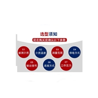 SR2-20FAB-450TLSH4201 阻旋式物位开关  