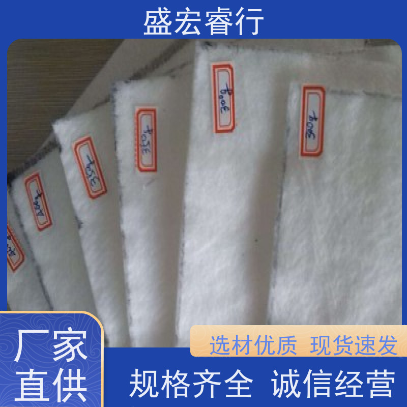 盛宏睿行 PP土工布  聚酯长丝 堤坝水库加固反滤布