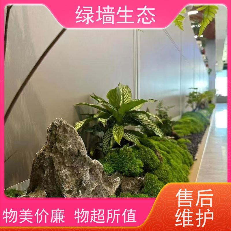 绿墙生态 花箱配套 时令草花灌木填充配置 庭院景观绿化