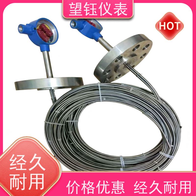 望钰 耐磨耐腐蚀 WRJ温度传感器 热处理炉 生产厂家