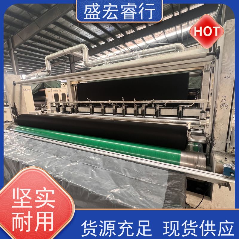 盛宏睿行 PET土工布  聚酯长丝 堤坝水库加固反滤布