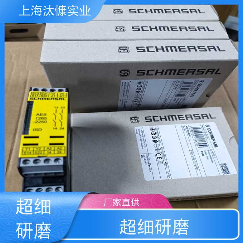 Schmersal施迈赛 安全铰链开关 EFK103.1G 精品行货 放心选购
