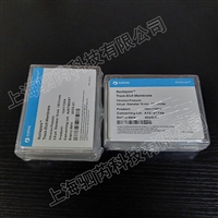 10417304 思拓凡沃特曼孔径08um直径19mm径迹蚀刻膜 PC膜原800284