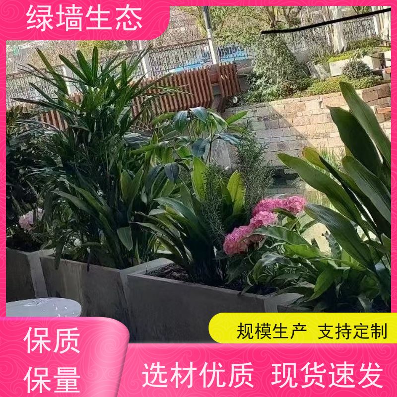 绿墙生态 厂区园区绿.化布局乔木灌木草坪分层 水陆缸造景