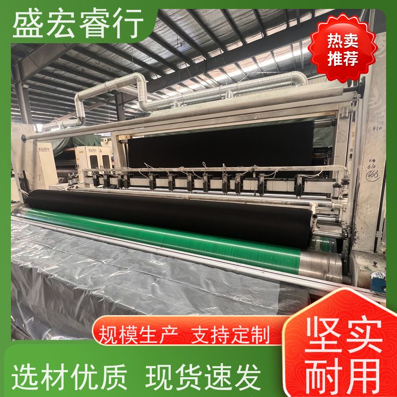 盛宏睿行 PET土工布  长丝纺粘 水利工程防渗隔离布