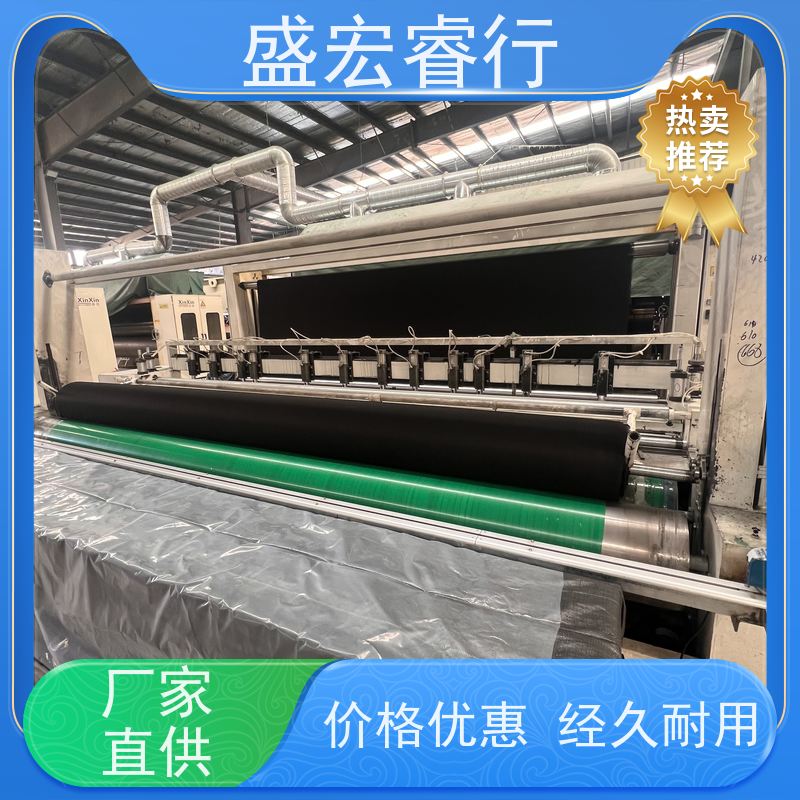 盛宏睿行 涤纶土工布  国标短丝针刺 水利堤坝反滤布
