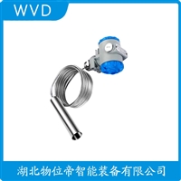 HM21R 投入式液位计的振动性能