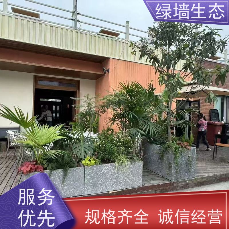 绿墙生态 户外广场搭建 对称式乔木灌木排布 中式景观绿化
