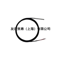 法国Prosensor BOSI6001-6铂电阻温度传感器