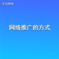 网络推广的方式-企业SEO与GEO获客-南通平凡网络