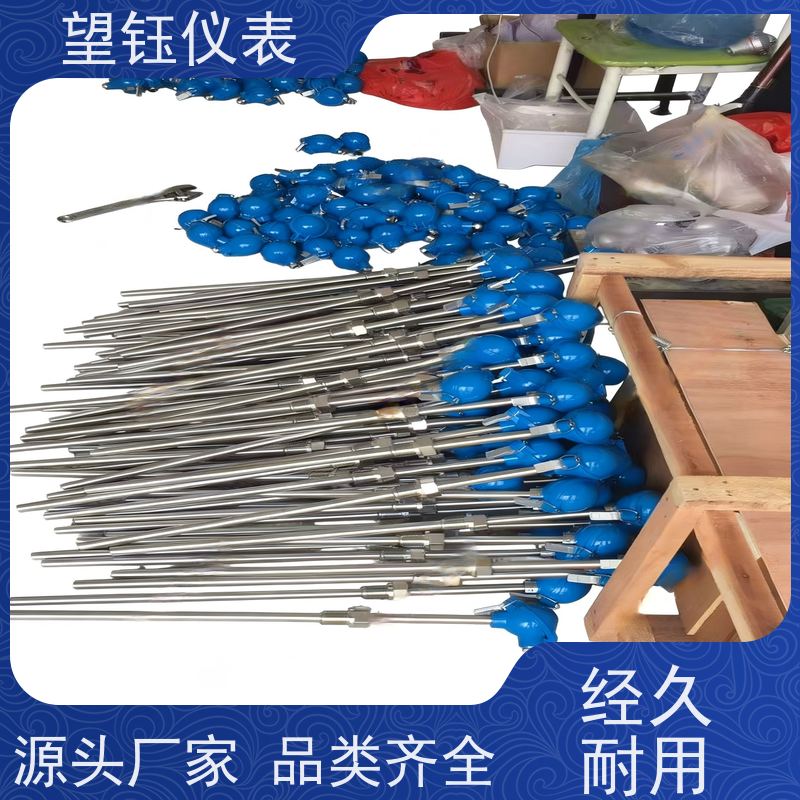 望钰 精度高 WRN探针热电偶 化工反应釜 厂家供应