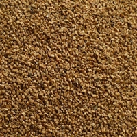 净水果壳滤料 果壳滤料核桃壳滤料的应用解答