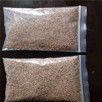 抛光核桃壳材料多少钱一袋 荣茂