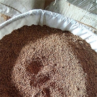 潍坊净水果壳滤料 水处理果壳滤料有哪些