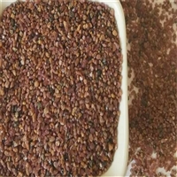 果壳滤料厂商 果壳滤料硬度高耐磨损抗压性好