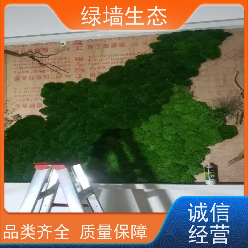 绿墙生态 分层堆叠造景室内隔断层次布置植被 苔藓地毯