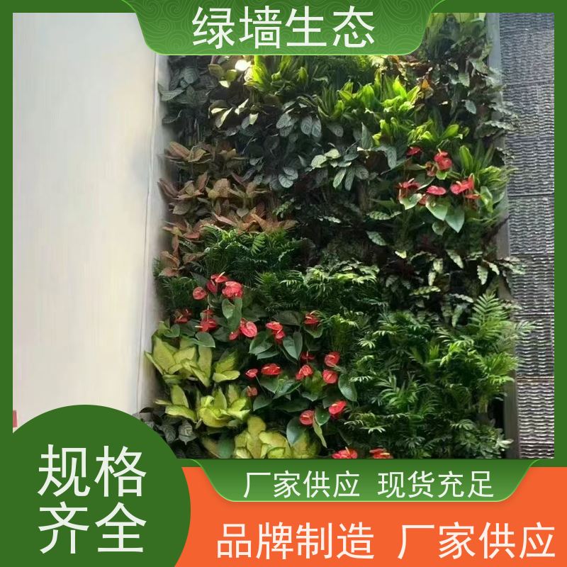 绿墙生态 垂直绿化 走廊玄关小型入户隔断微景观装饰墙