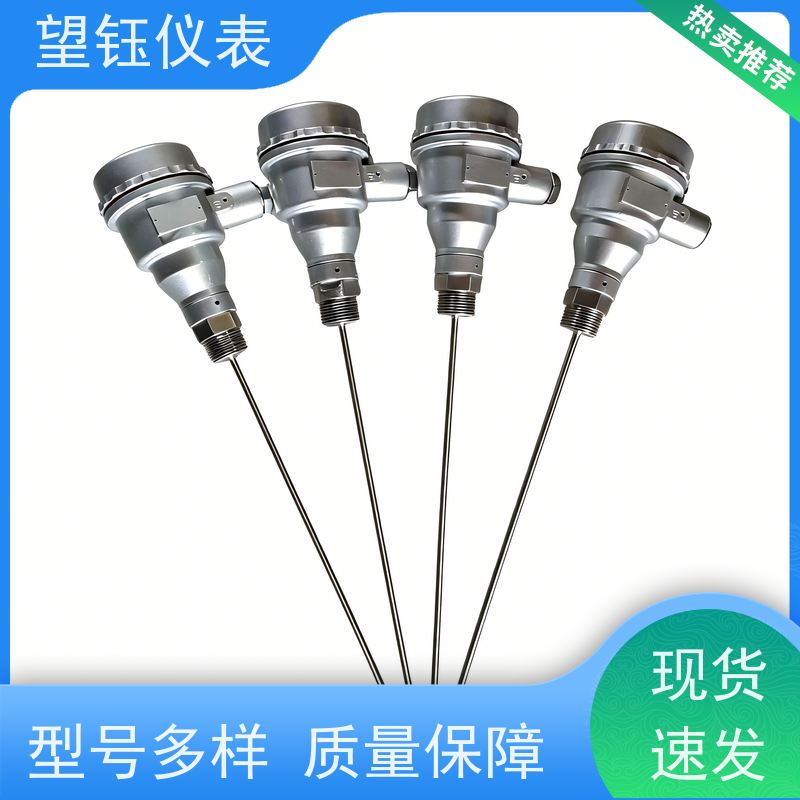 望钰 铠装 Pt1000铂铑热电偶 化工反应釜 厂家供应