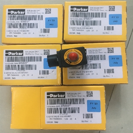 P1F-T125FCA0500-0000气缸派克   