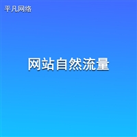 SEO关键词优化-自然排名流量-获取潜在的意向客户-南通平凡网络
