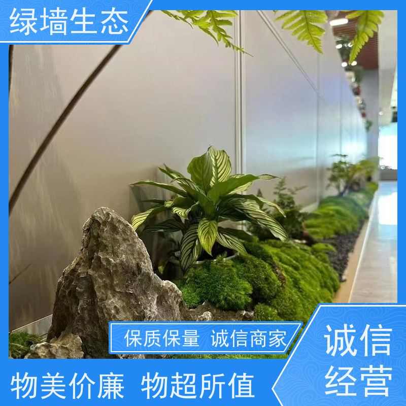 绿墙生态 花箱配套 时令草花灌木填充配置 办公室小景观