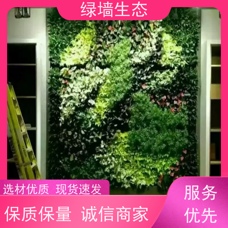 绿墙生态 城市立体绿化 写字楼通道走廊两侧拼装模块