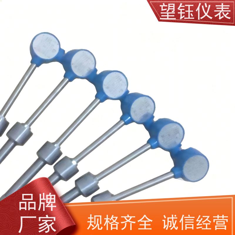 望钰 探针式 WRQ螺纹热电偶 化工反应釜 生产厂家