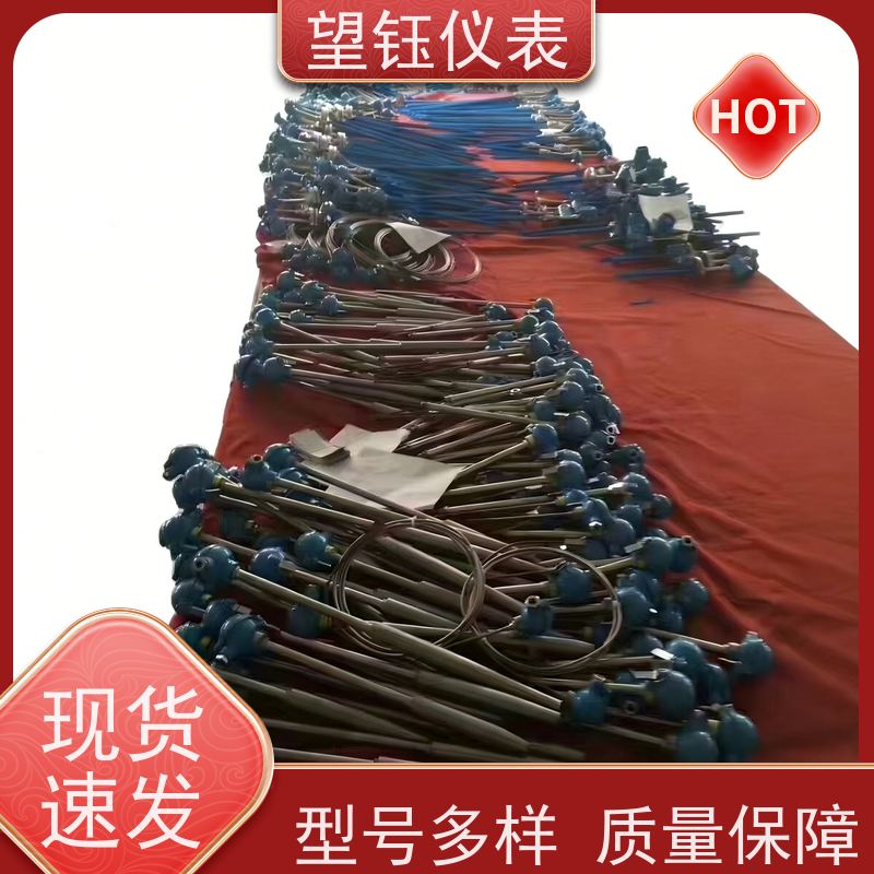 望钰 探针式 WRN铂铑热电偶 化工反应釜 厂家供应