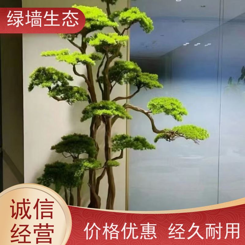绿墙生态 共享办公区 矮生观叶植物隔断 雨林缸造景
