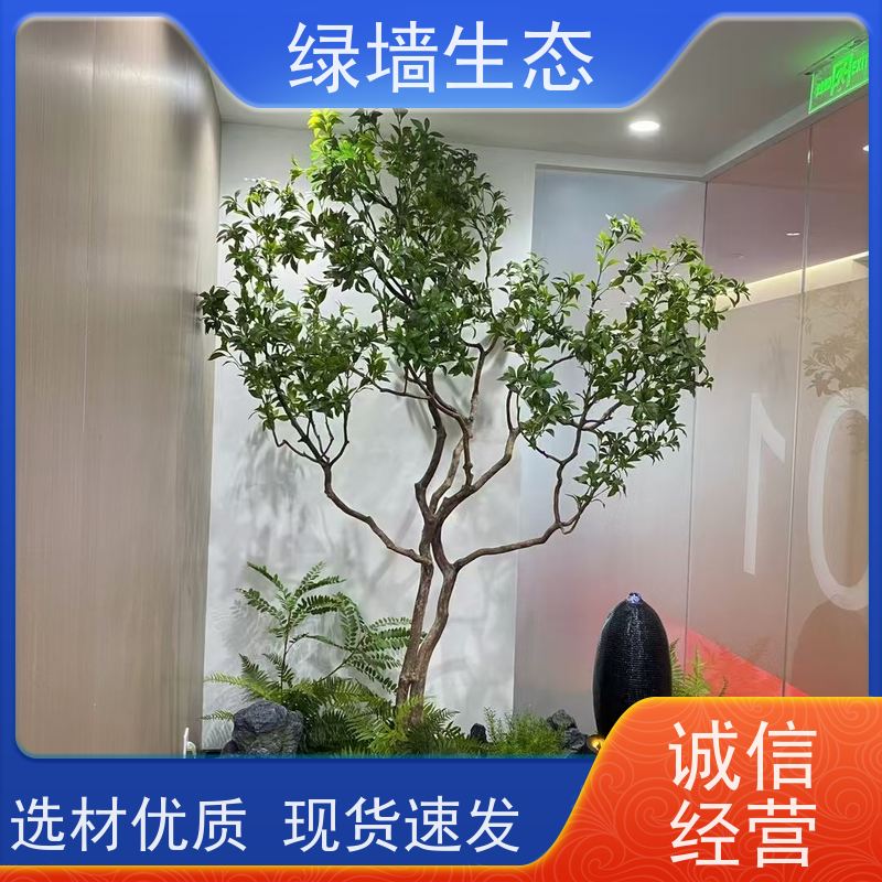 绿墙生态 共享办公区 矮生观叶植物隔断 庭院景观绿化