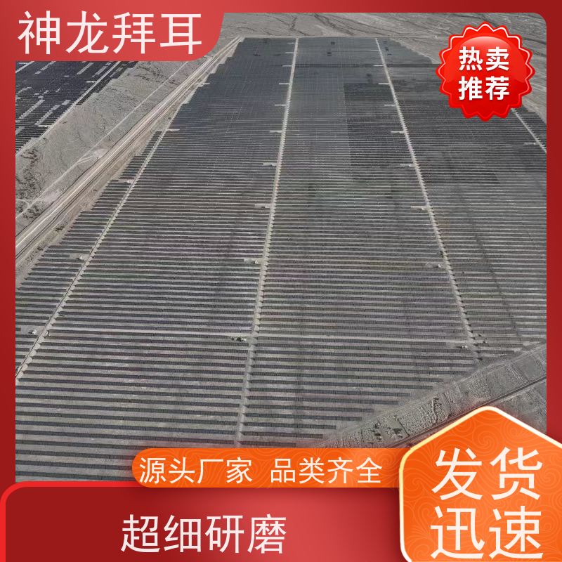 河北神龙拜耳 地面光伏支架费用 免费升级 厂家