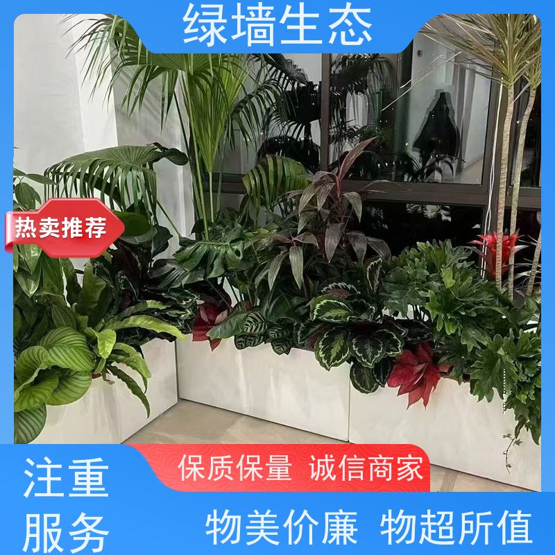绿墙生态 户外广场搭建 对称式乔木灌木排布 水陆造景