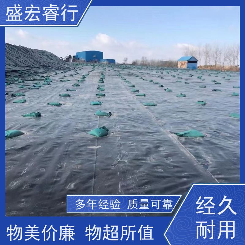盛宏睿行 PE塑料薄膜 隧道 工程专用防.水膜  土工膜