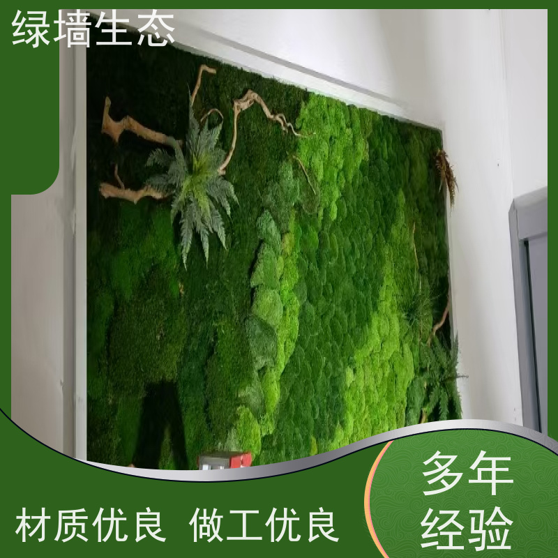 绿墙生态 分层堆叠造景室内隔断层次布置植被 白发苔藓