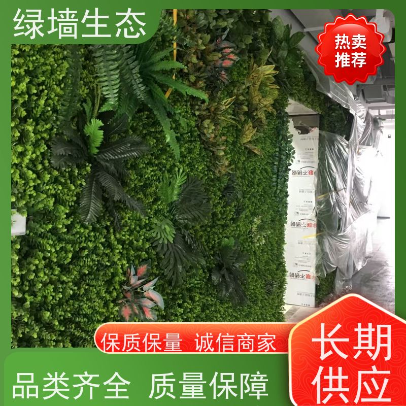 绿墙生态 白边叶片艺术展厅墙面个性造型 仿真绿化工程