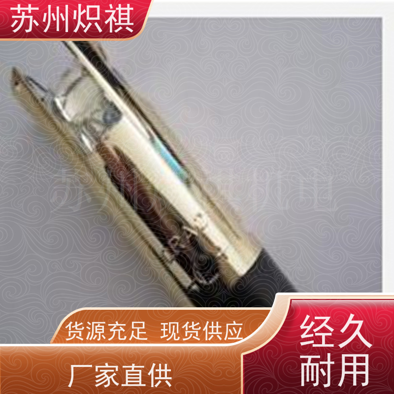 德国西门子SIEMENS 火焰扫描仪 QRI2A2.B180B 燃烧机火焰探头
