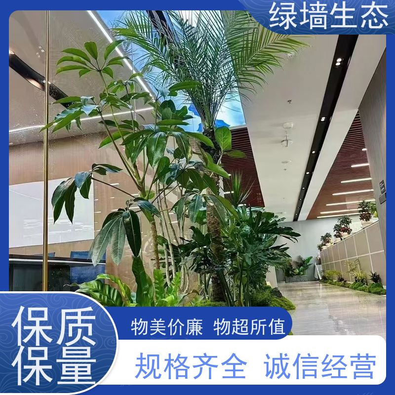 绿墙生态 厂区园区绿.化布局乔木灌木草坪分层 小区景观绿化