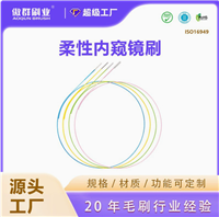 硬式软式内窥镜毛刷 手术器械清洁刷  工业毛刷定制 扭线刷 条刷 植毛刷定制工厂