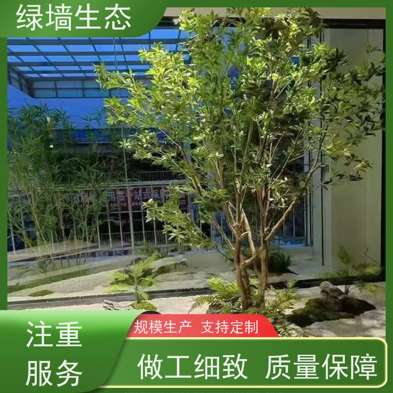 绿墙生态 造型松景松苗木庭院别墅小区绿.化乔木 小型室内园林造景