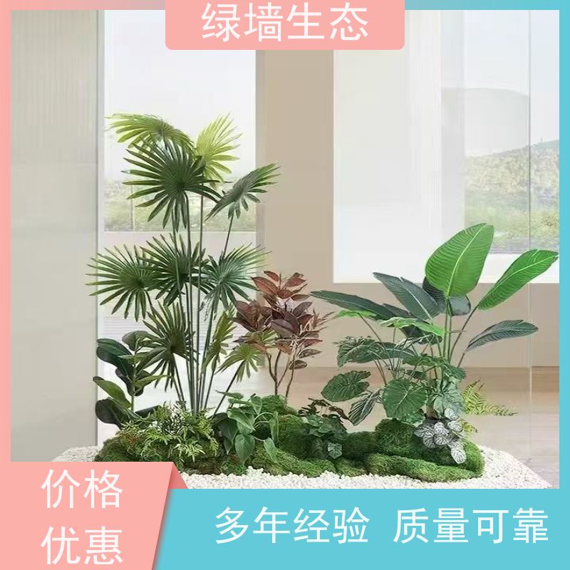 绿墙生态 共享办公区 矮生观叶植物隔断 室外绿化
