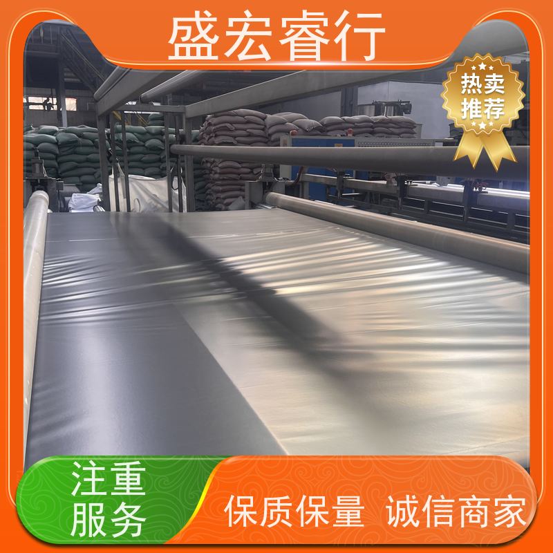 盛宏睿行 聚乙烯塑料薄膜 公路路基防.渗.膜 防.水布 防水膜
